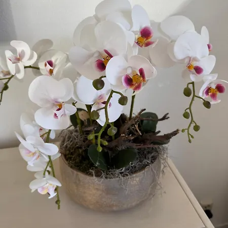 Casa Bep Zevenhuizen (Zuidplas)