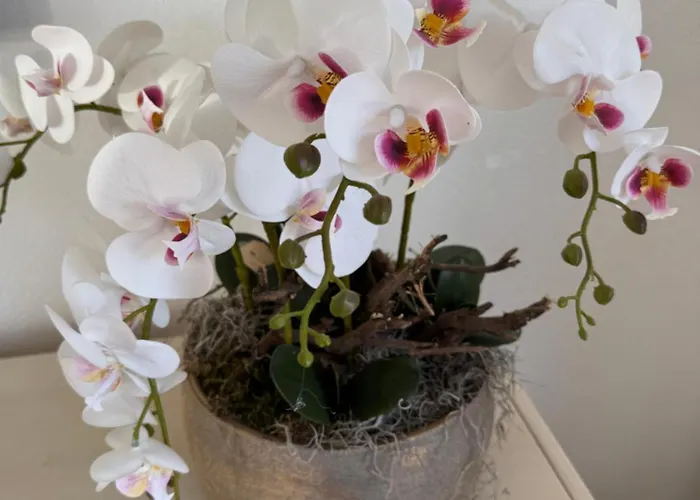 Casa Bep Zevenhuizen (Zuidplas)